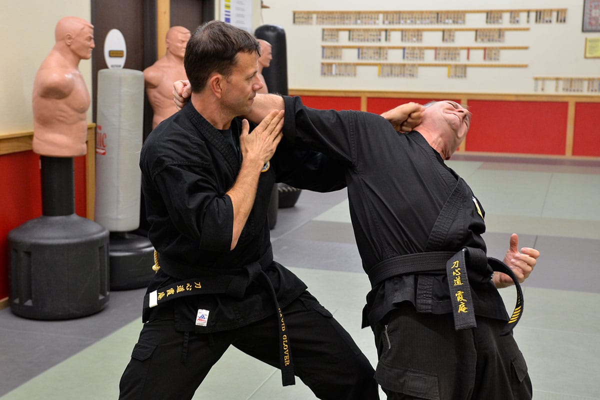 david glover martial arts